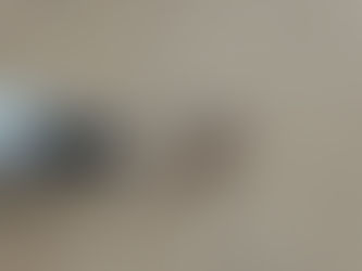 The Life Cycle of Scorpions: Why You See Young Riding on Their Mother’s Back in Austin