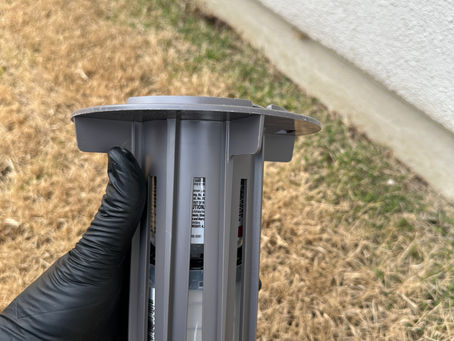 Are Termites a Problem in Austin, TX? Here’s What Every Homeowner Should Know