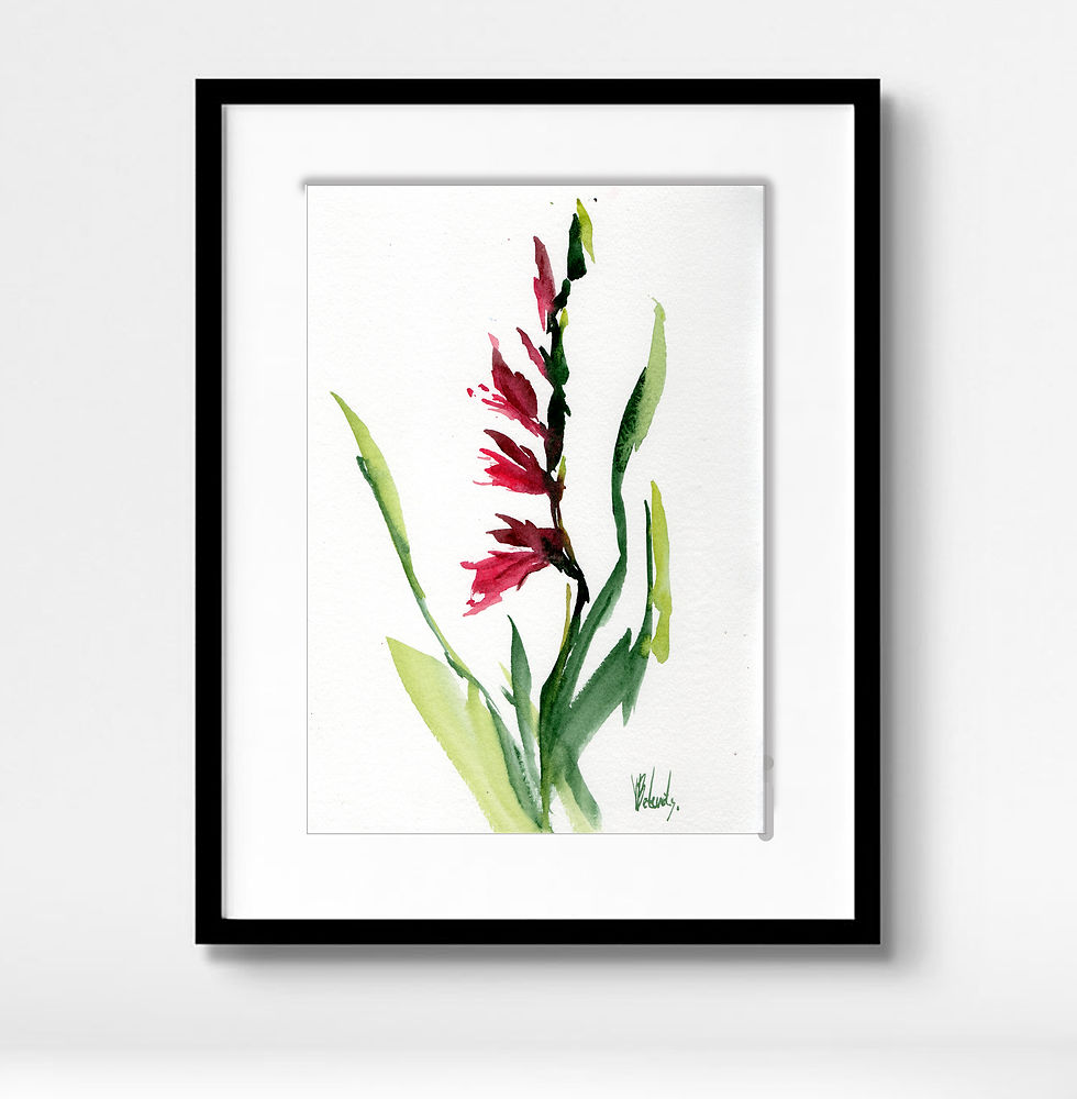 wild-gladiolus-watercolor-sketch