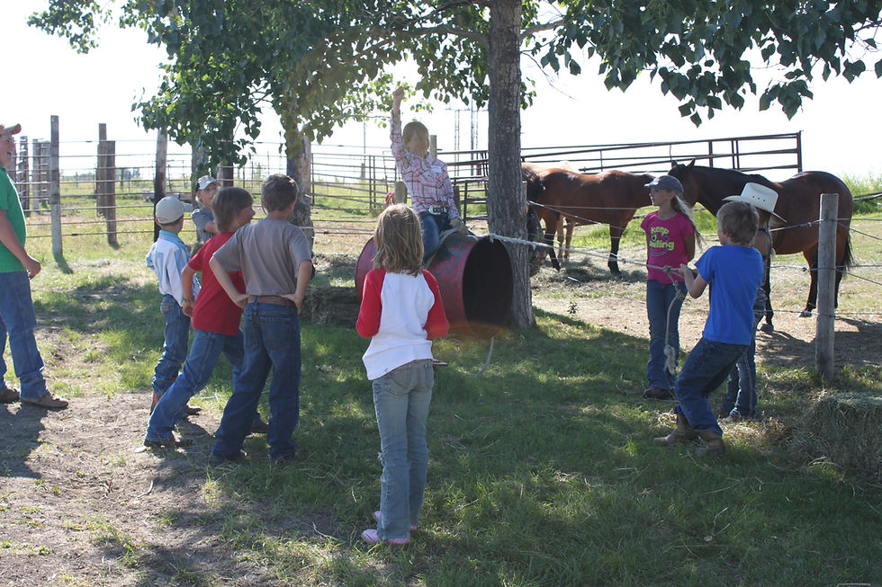 TLRM Summer Junior Camp July 10-12, 2026