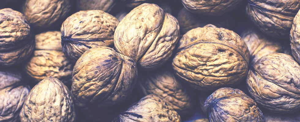 Pile Of Walnuts_edited_edited.jpg