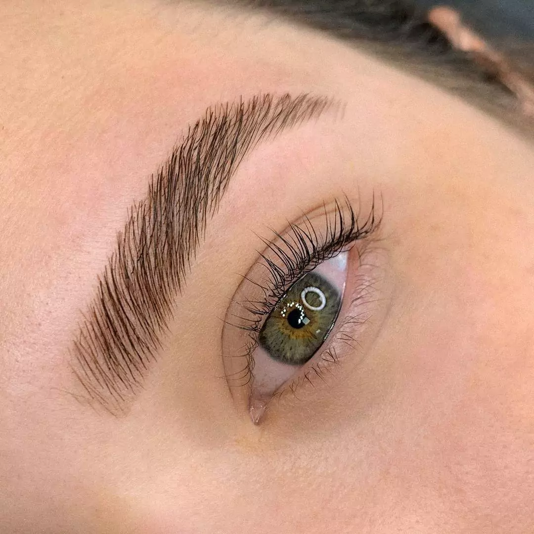 Brow and lash.webp