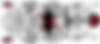 PORTADA TRANSPARENTE.png