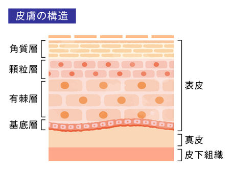 角質ケアの重要性と効果的な方法とは