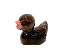 Black Duck.jpg