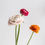 Miniature : Duo de Vases Totem - Mimosa