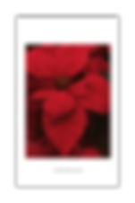 14_09_2019_16_01.png