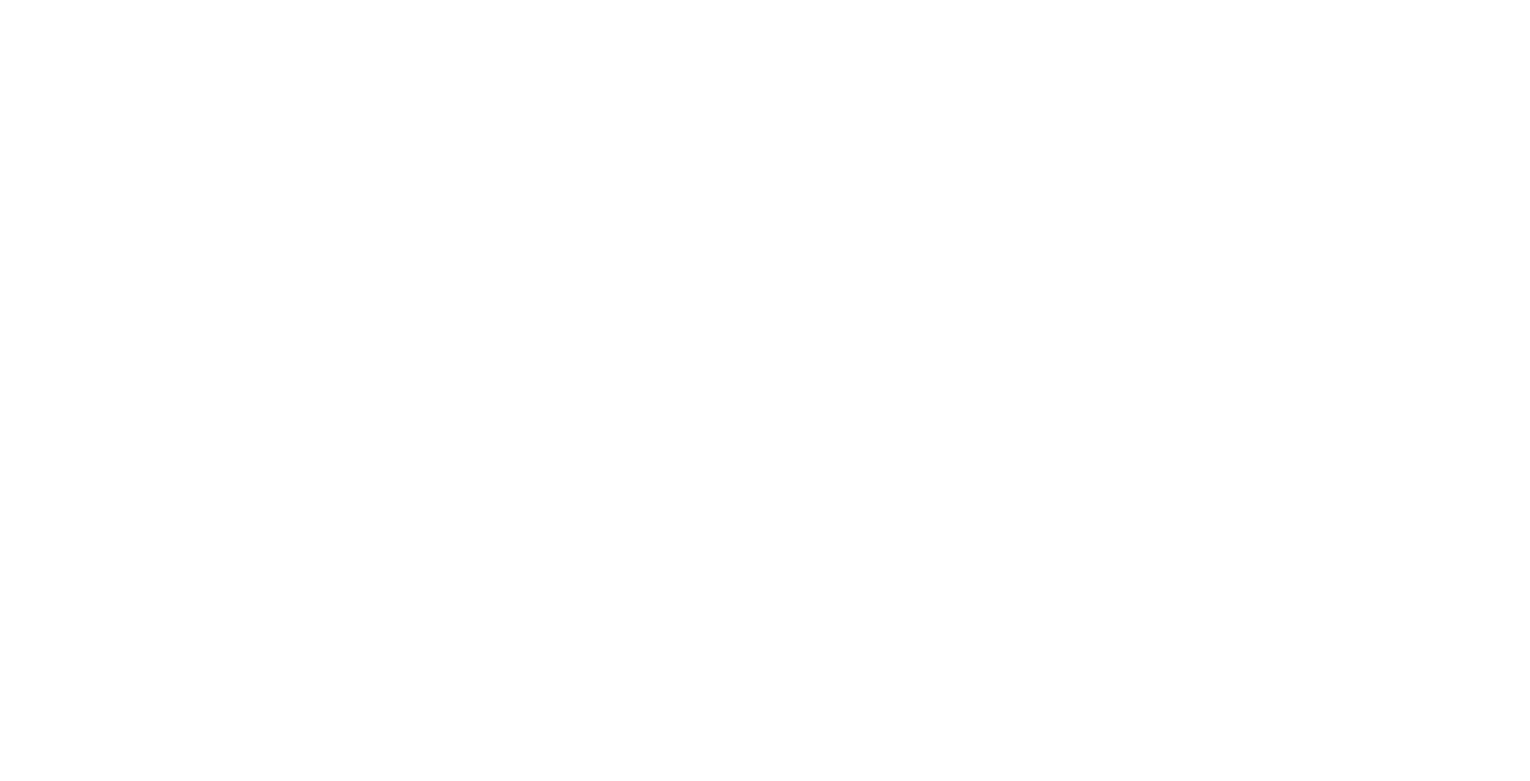 logo no blackground white.gif