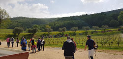 57935932_2267521873461470_62392191045074
