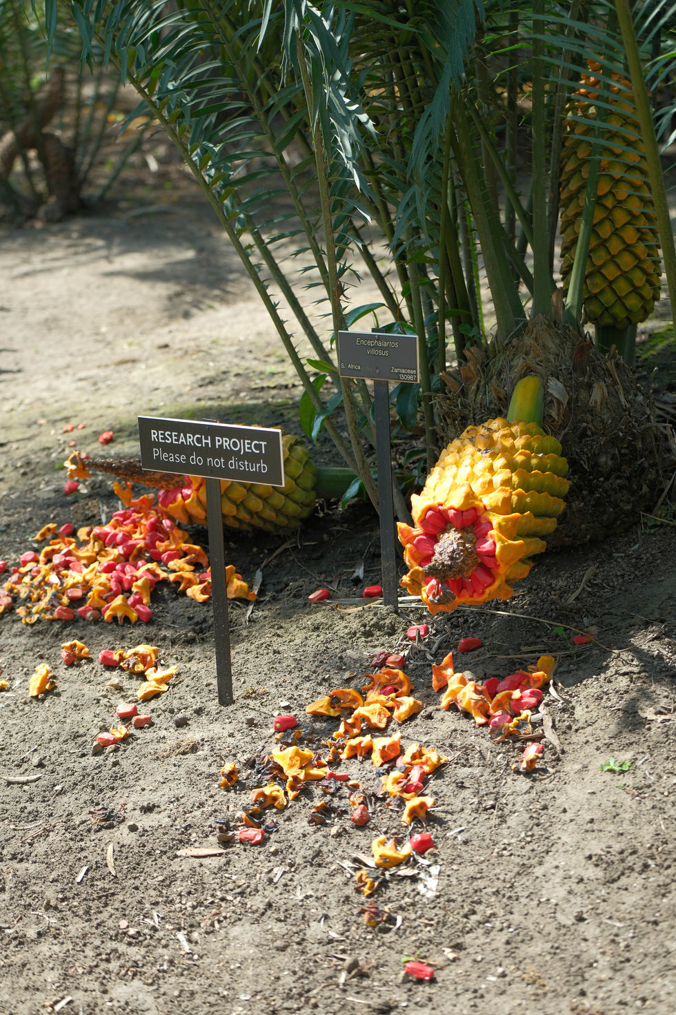 DSCF4027.jpg