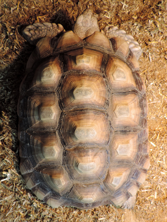 DSCN1054.jpg