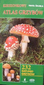 pavolskubla