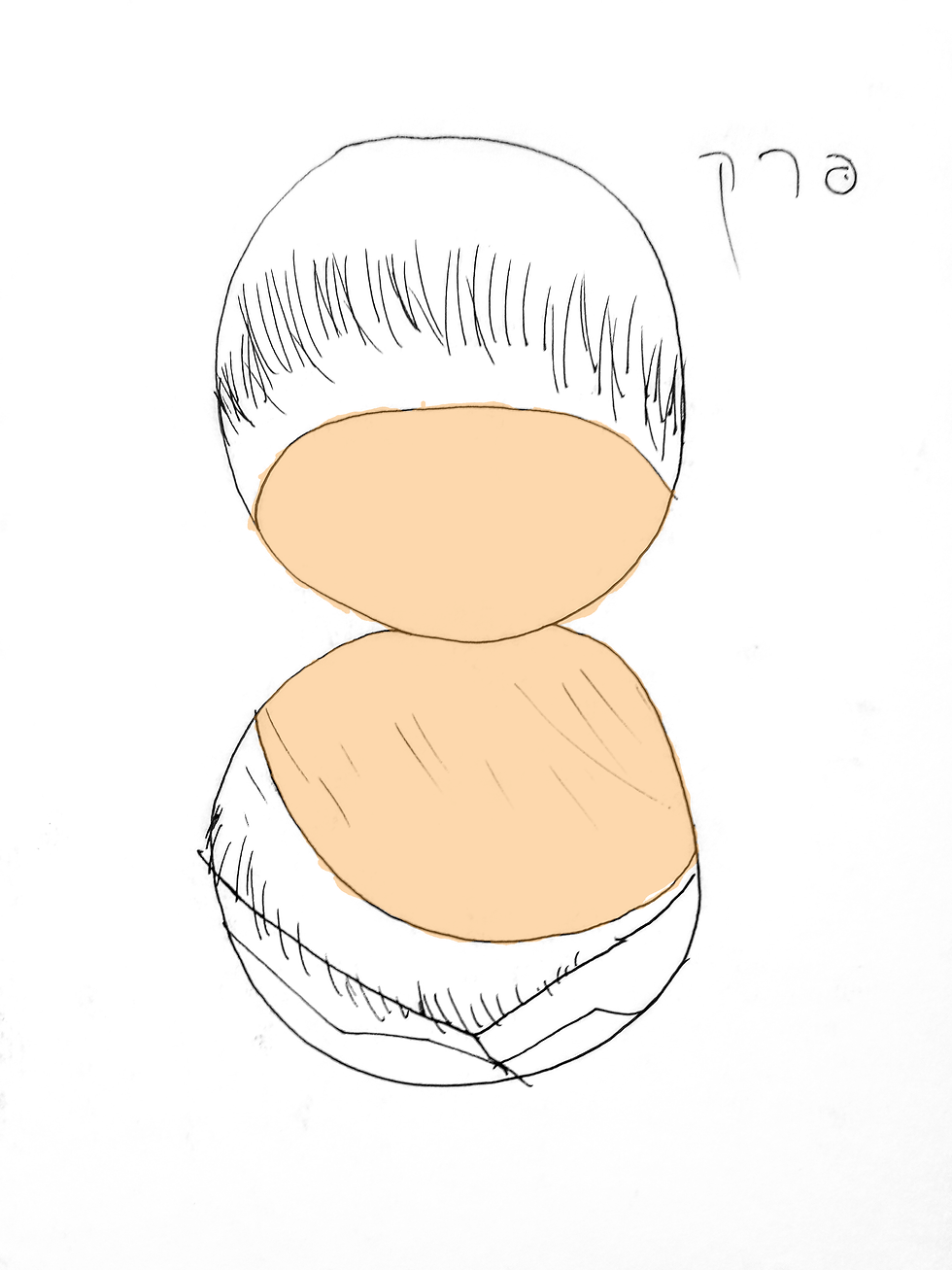 גן העדן של הזרימה פרק 8