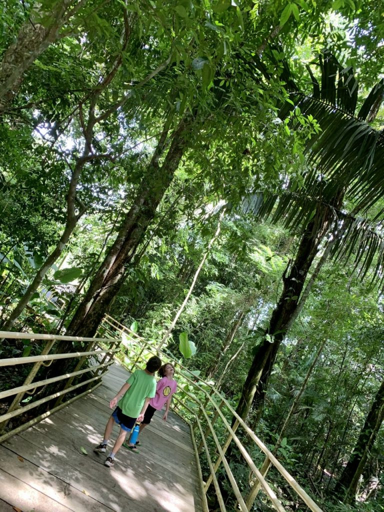 Boys on trail in national park Costa Rica