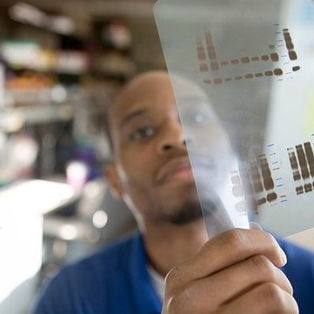 M-P defends his thesis