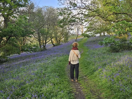 May Bank Holiday, Beltane & Bluebells