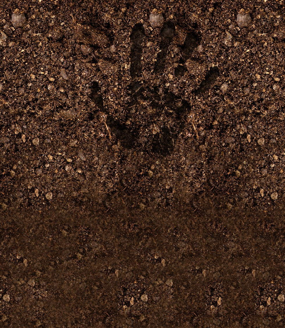 evolve-back_PRE_homepage-1366-JTR_edited.jpg