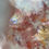 Thumbnail: Quartz Cabochon with Lepidocrocite Inclusion
