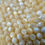 Thumbnail: Beige Mother of Pearl Faceted Round Beads