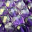 Thumbnail: Amethyst Faceted Square Beads