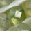 Thumbnail: Prehnite Beads Square Shape