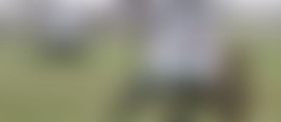 EX. PINION TITAN 2025