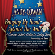 Banging My Head Against the Wall audio c