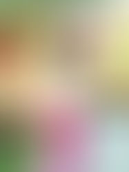 🧘🏼♀️タイ古式は、らくちん受け身のヨガ🧘🏼♀️