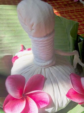 🌿プレオープンキャンペーン🌿