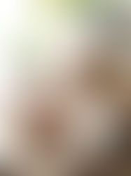 🌿ゆったりな秋の朝🌿