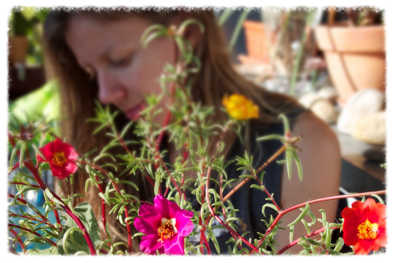 Diätetik und Phytotherapie