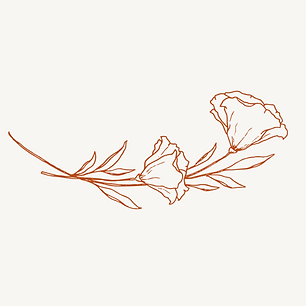 8.png