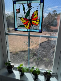 100 Miles (photos!) - March 15, 2025