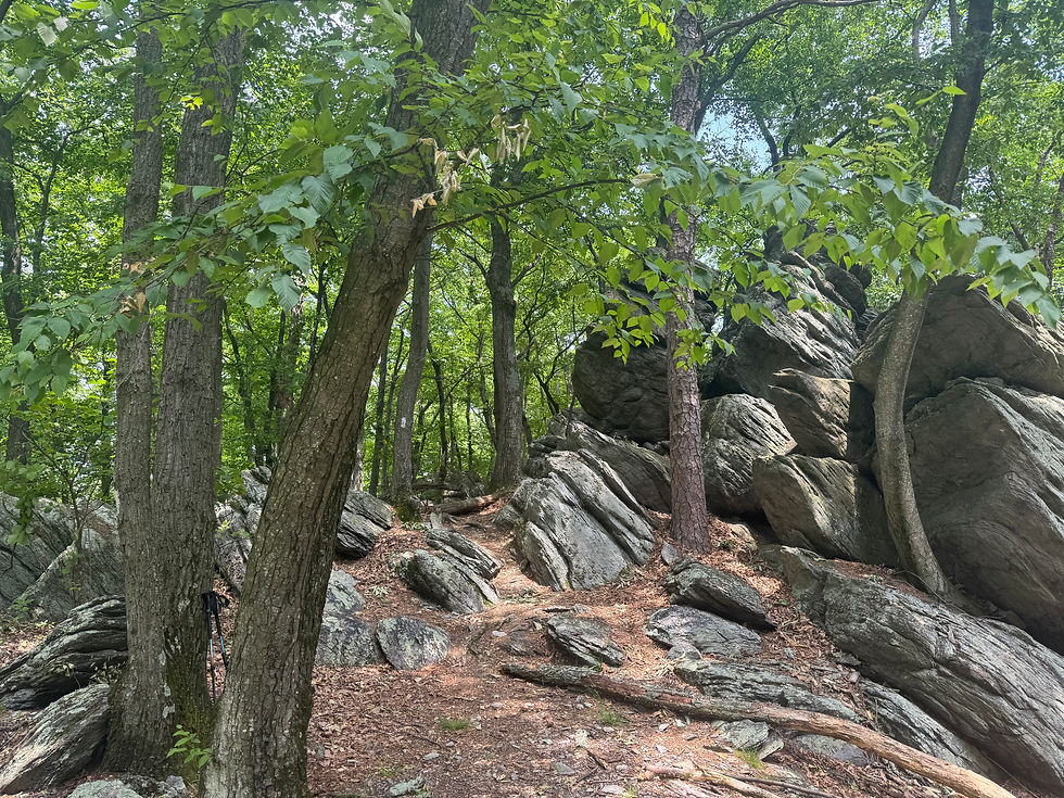 Rocks, Rest and Ready to Roll - June 25, 2026