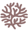 Calamelo Arts & Conception logo – abstract organic tree coral icon symbol.