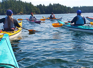20260524_111845_edited_edited.jpg