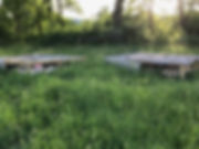 pasture chickens
