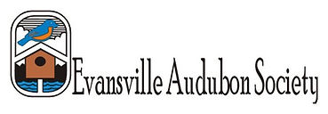 Evansville Audubon Logo