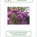 Vient de paraître : brochure "Les lilas de Vitry"
