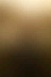 84ED2081-275C-430B-BAA9-60413E3B36D1
