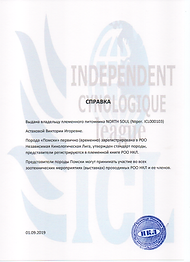 справка признание помски НКЛ.png