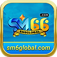 512_ICON_sm6global.png