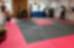 fighting lions interior_edited.jpg