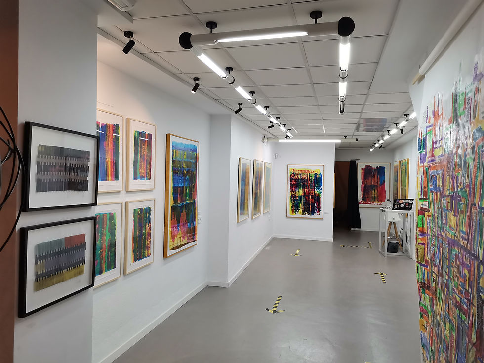 galeriagomis30