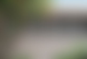 Allevatore Amatoriale...?