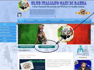 Aggiornamento del nuovo tasto INFO