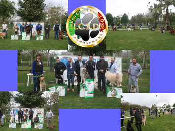 Esposizione Nazionale di San Felice a Cancello CE