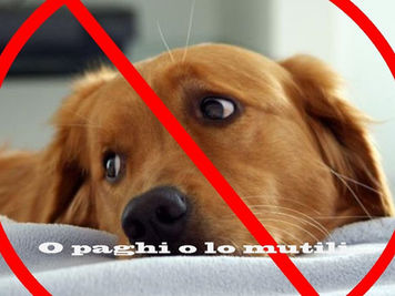 Nuova tassa sui cani: ecco come funzionerà