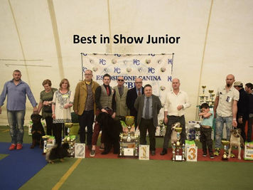 Esposizione Mondiale ICBD