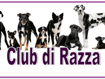 Associazioni Riconosciute